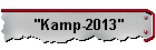 "Kamp-2013"